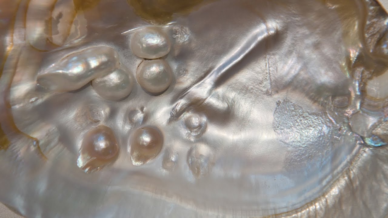 Scientists Uncover Why Mother-of-Pearl is Nature&rsquo;s Toughest Material