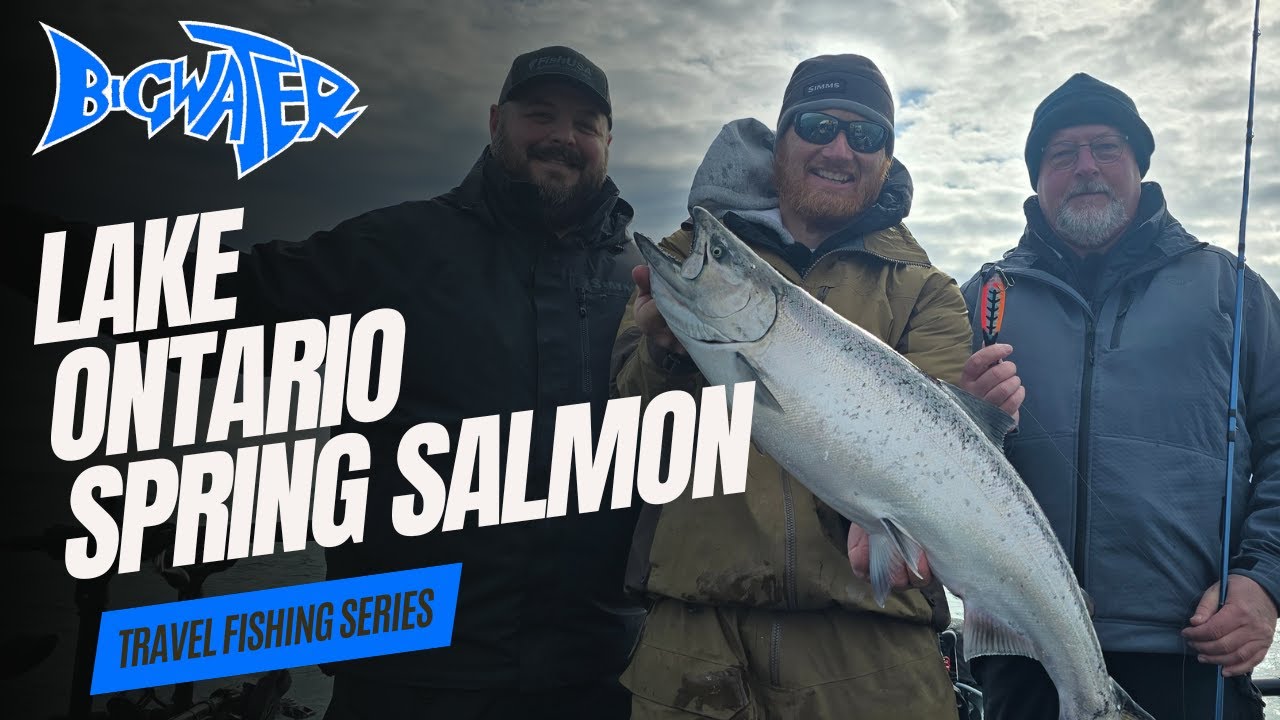 Lake Ontario King Salmon out of Olcott New York