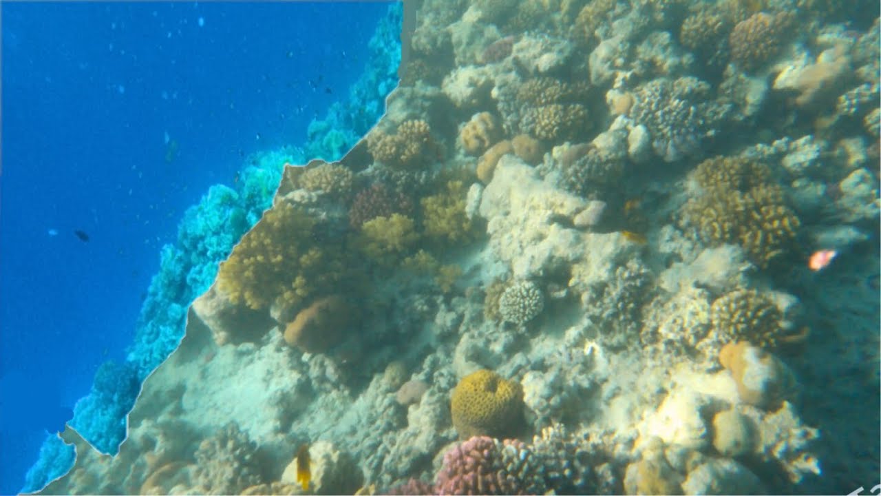Don't DROWN!  - Snorkelling Boat Trip Part 1 - Egypt 2025 EG