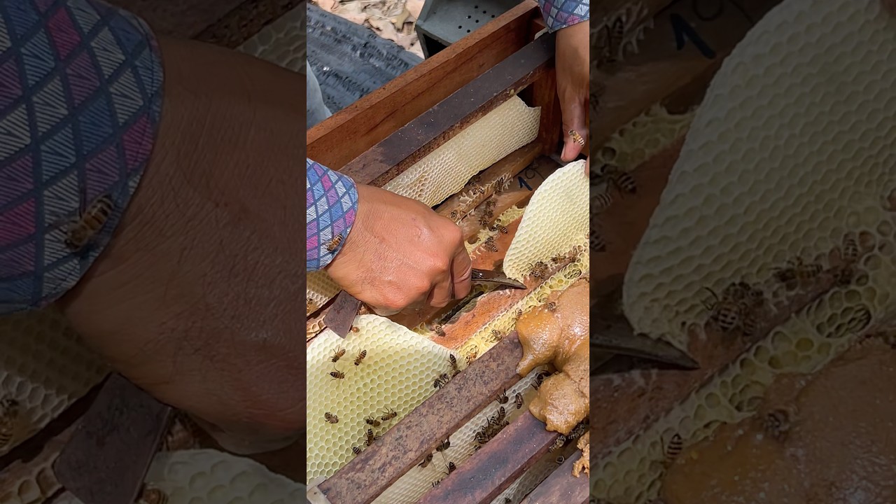 Wow! Scraping new hives it grows on bee frame #queen #beekeeper #newborn #honeybeesting #beefeater