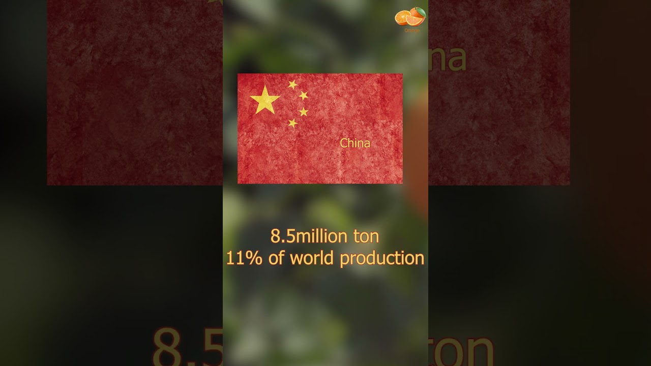 Top Orange Producing Countries in the World
