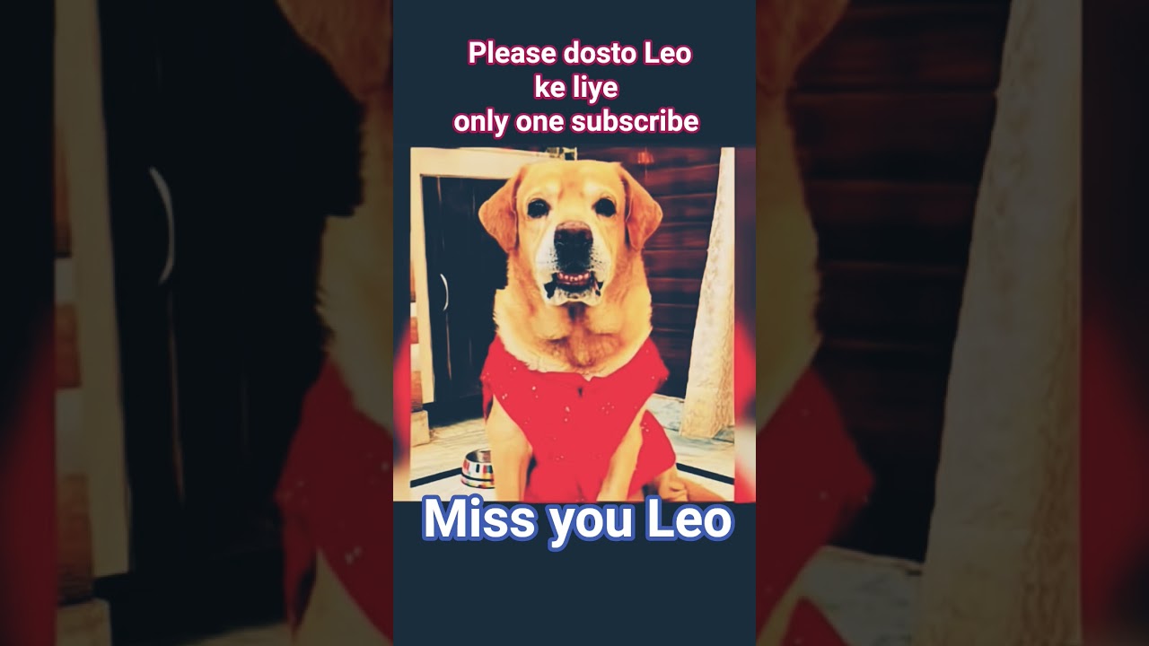 leo is no more