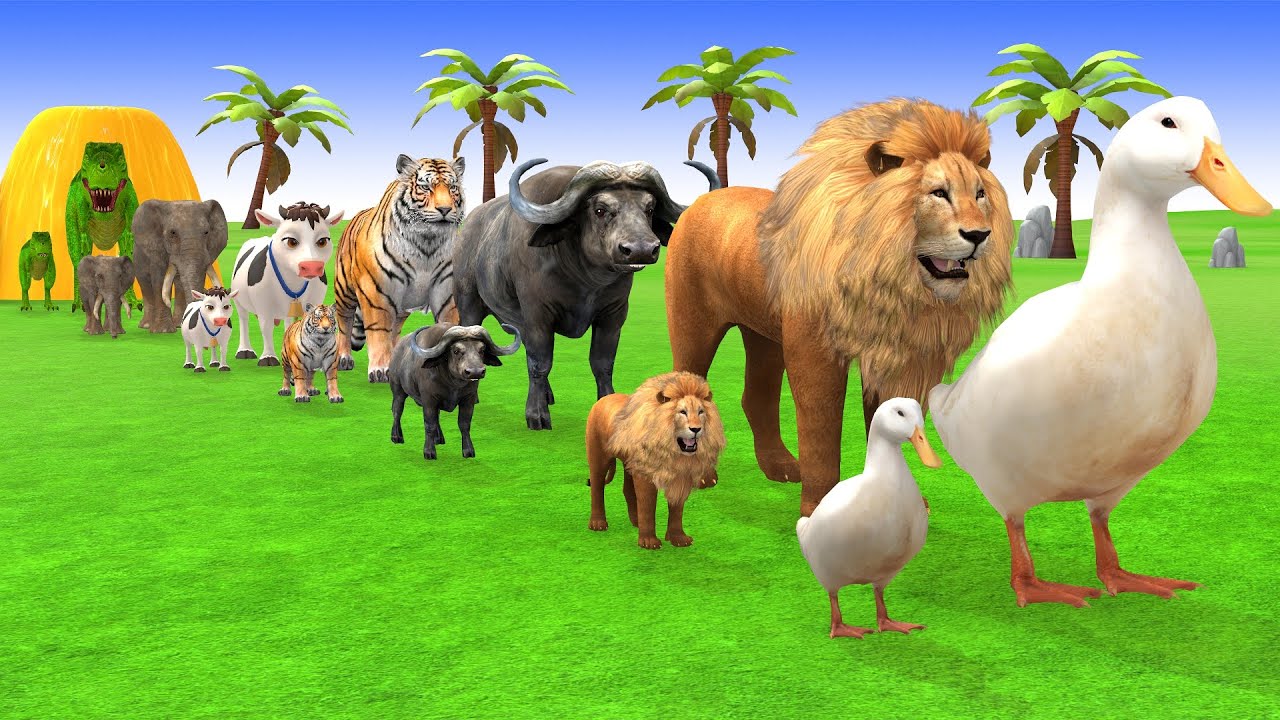 Long Slide Game With Cow Elephant Gorilla Hippopotamus Tiger 3d Animal Game Funny 3d Animals