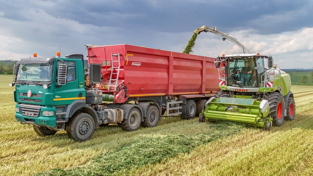 Senáže Žita 2025 ITatra Phoenix 6x6 Euro 5 I Claas Jaguar 950