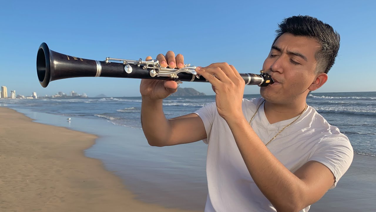Luis Fonsi - Despacito ft. Daddy Yankee/AU COVER/ CLARINETE