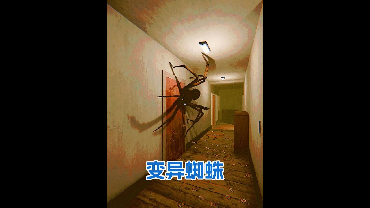 恐怖游戲潛伏，飼養蜘蛛變異逃離，最后盯上主人，蜘蛛恐懼者慎入 