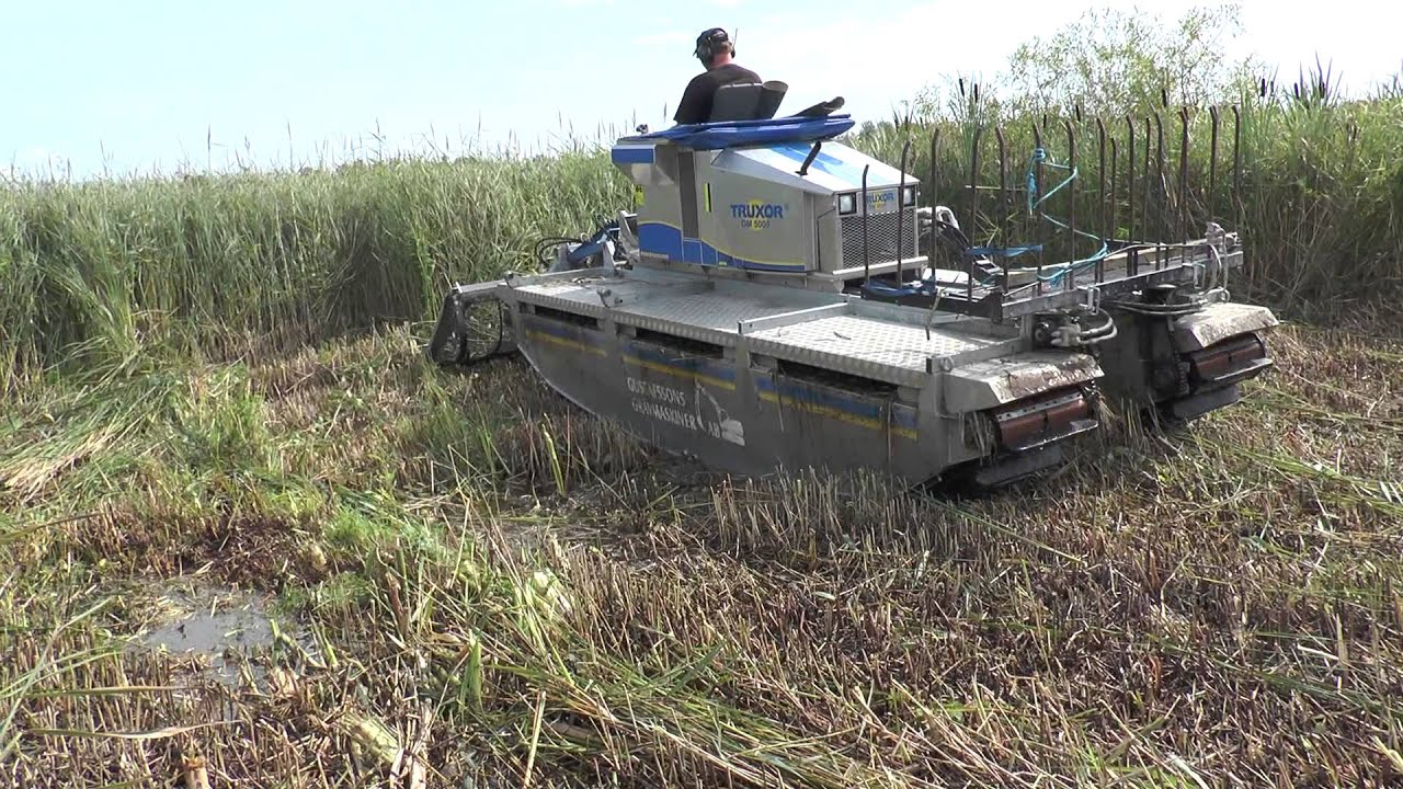 Truxor DM 5000 cuts the reeds in the bay outside Västergarn Gotland August 2015