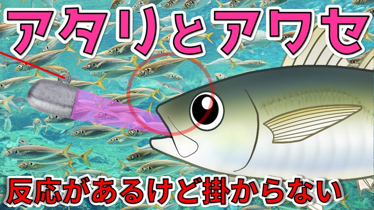【アタリとアワセ】アジをほぼ確実にフッキングできるタイミング