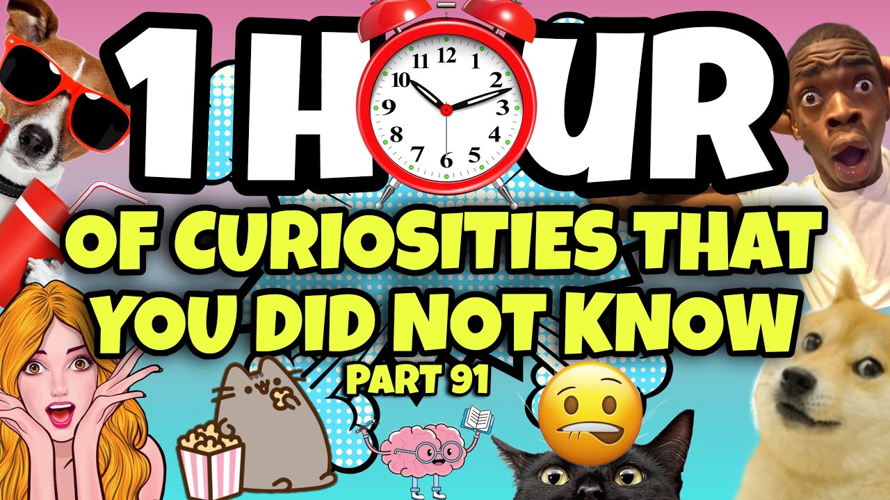 1 HOUR OF CURIOSITIES AND THINGS YOU DIDN'T KNOW 🧠⏰ 91