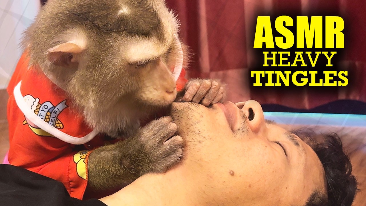 ASMR Heavy Tingles | Monkey Grooming My Face Until I Fall Fast Asleep Now