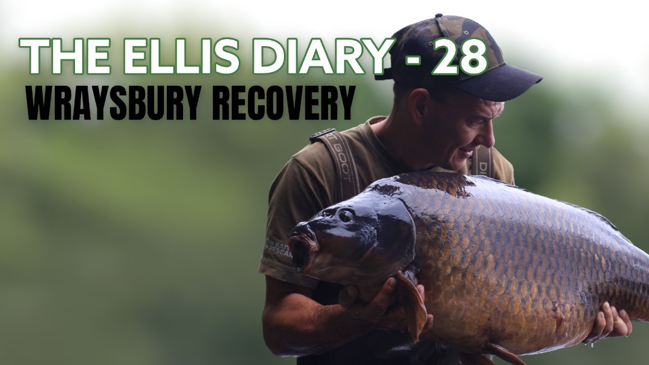 THE ELLIS DIARY - WRAYSBURY RECOVERY!