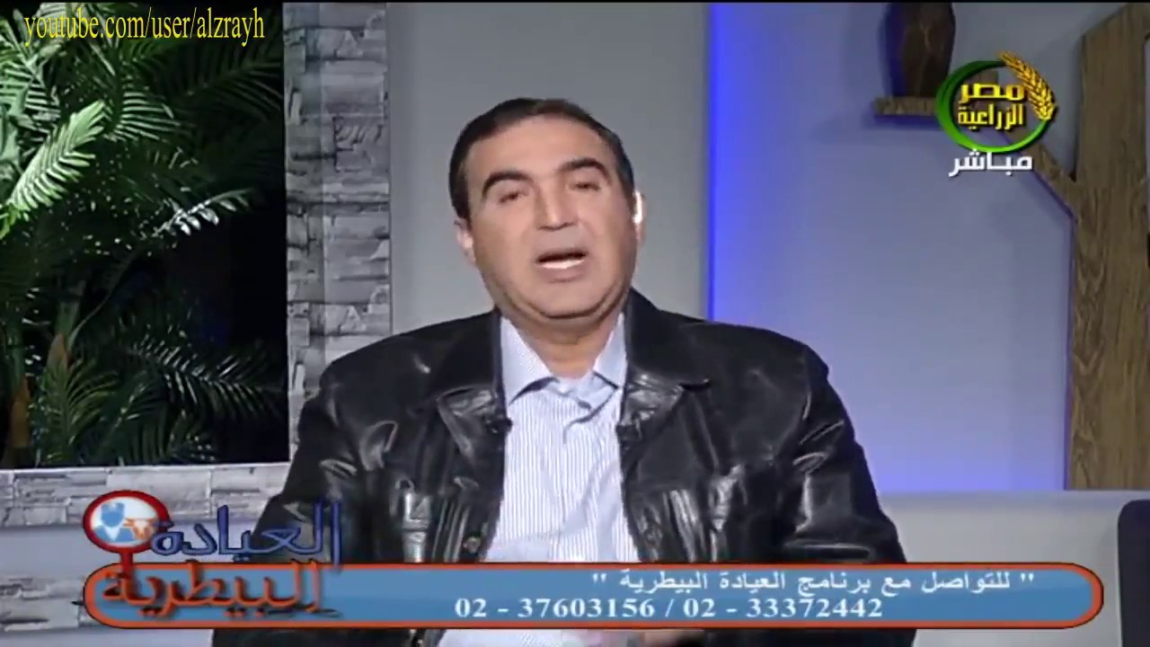 10 خطوات للوقاية من امراض الجلد والصوف فى الاغنام والماعز