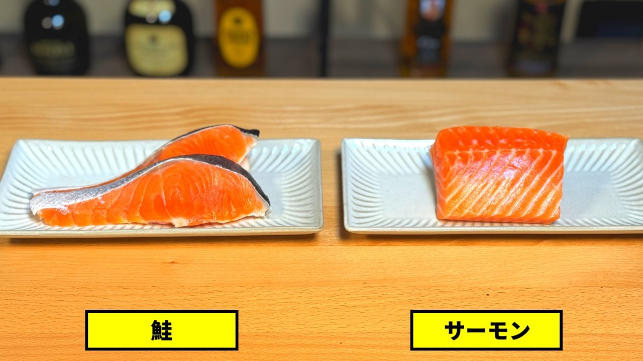 鮭とサーモンの違い、知ってる？