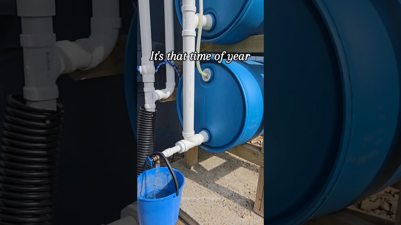 Collecting Rainwater In Our DIY Rain Barrel System #diyprojects #rainwater #outdoors