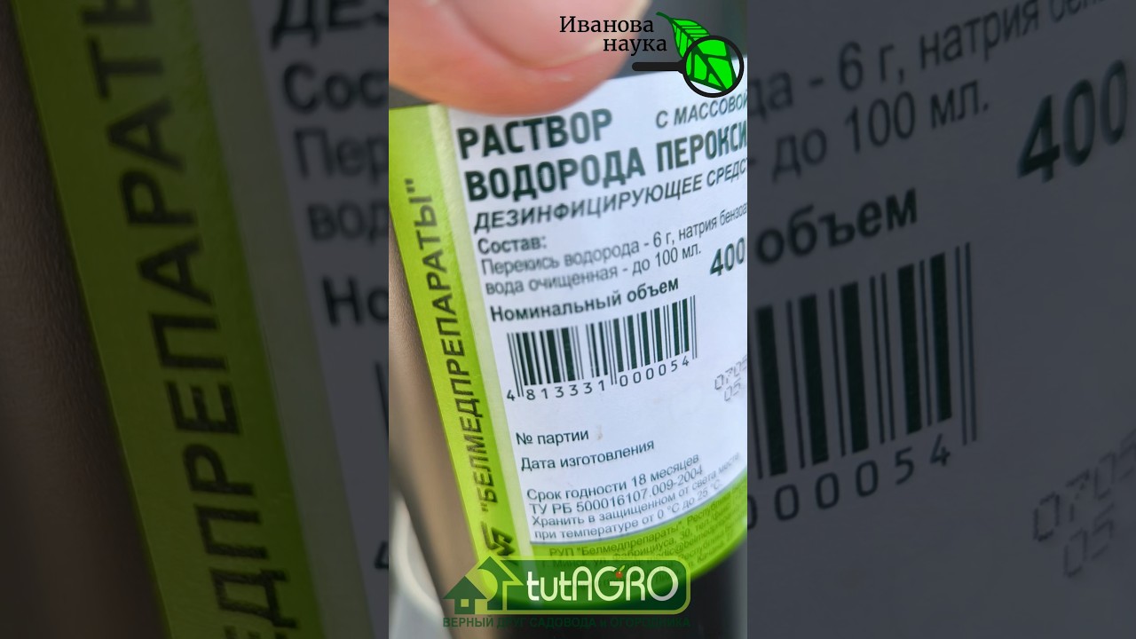 Рассада НЕ ВЫТЯНЕТСЯ! Секрет крепких и коренастых всходов с помощью перекиси водорода. Доступно ВСЕМ