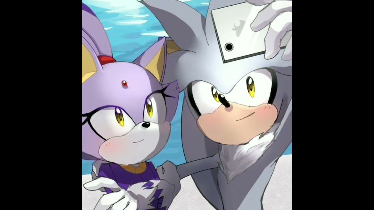 Silvaze Shape Of You