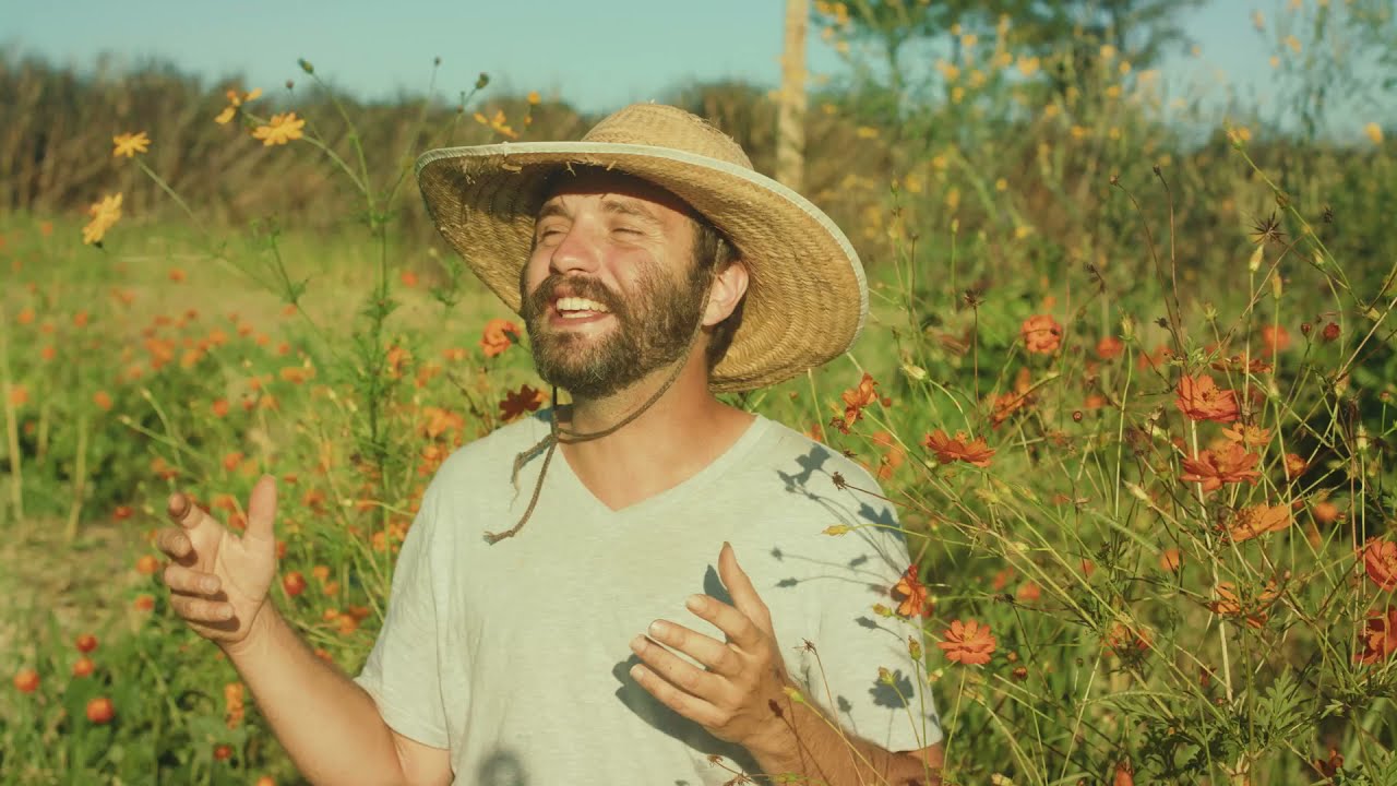 Entendendo Agrofloresta Sintrópica - Parte I