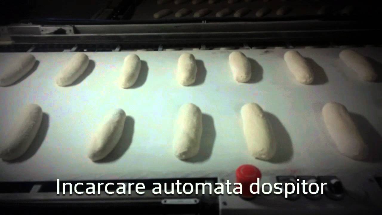 Linie automată p&acirc;ine 2600buc/h