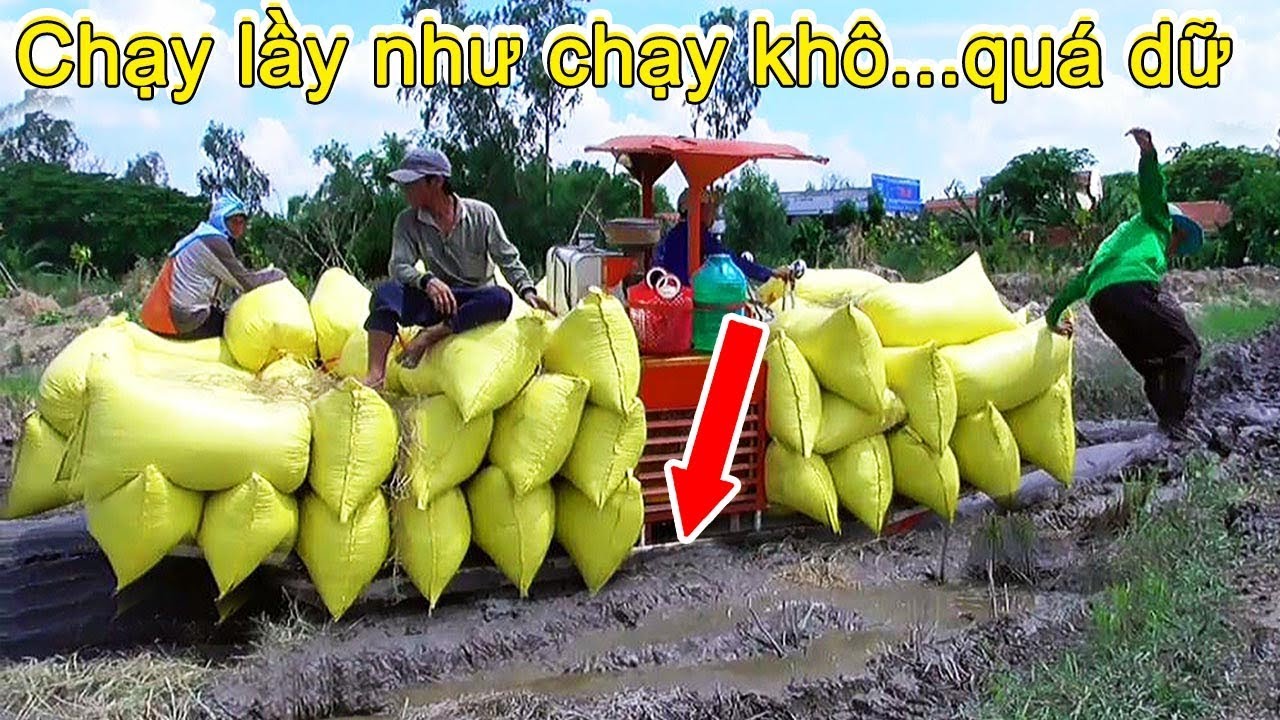 Vua của các loại máy kéo lúa chạy lầy vừa nhanh vừa mạnh lầy này không làm khó máy kéo bánh xích