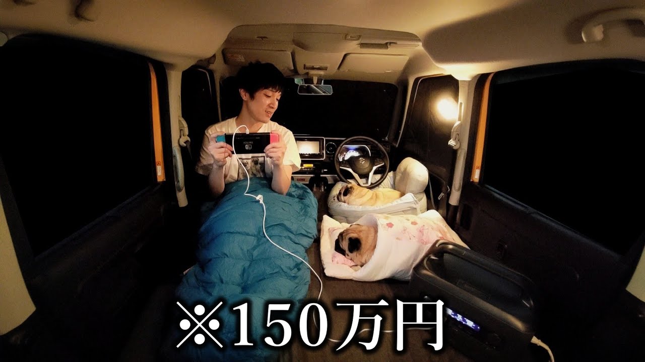 【ご報告】30代、未婚、彼女なし。でも家族が出来たから軽自動車購入しました【UGREEN ポータブル電源】