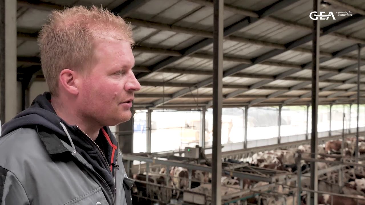 Stalinrichting melkveebedrijf De Valk Leiderdorp
