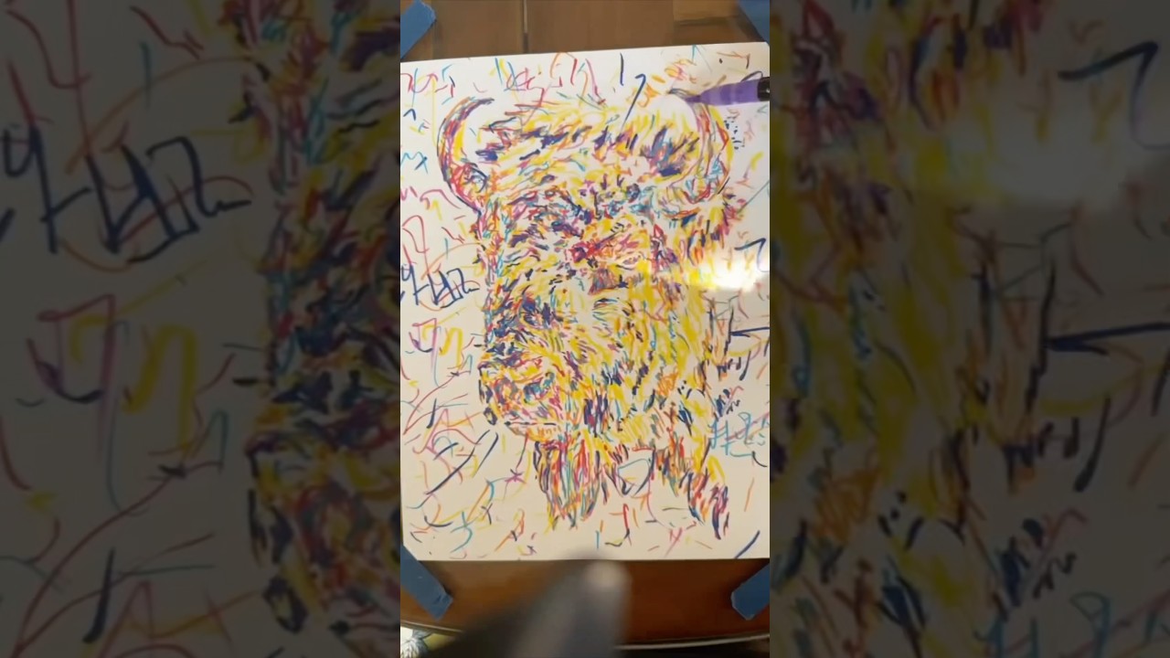 American Buffalo Drawing! #animalartistry #animalart #animalartwork #scribble_art #scribbledrawing