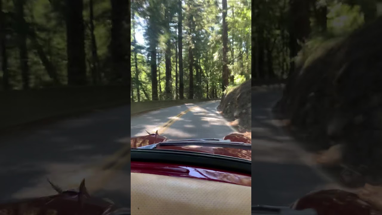 Chris Obert test driving fiat!