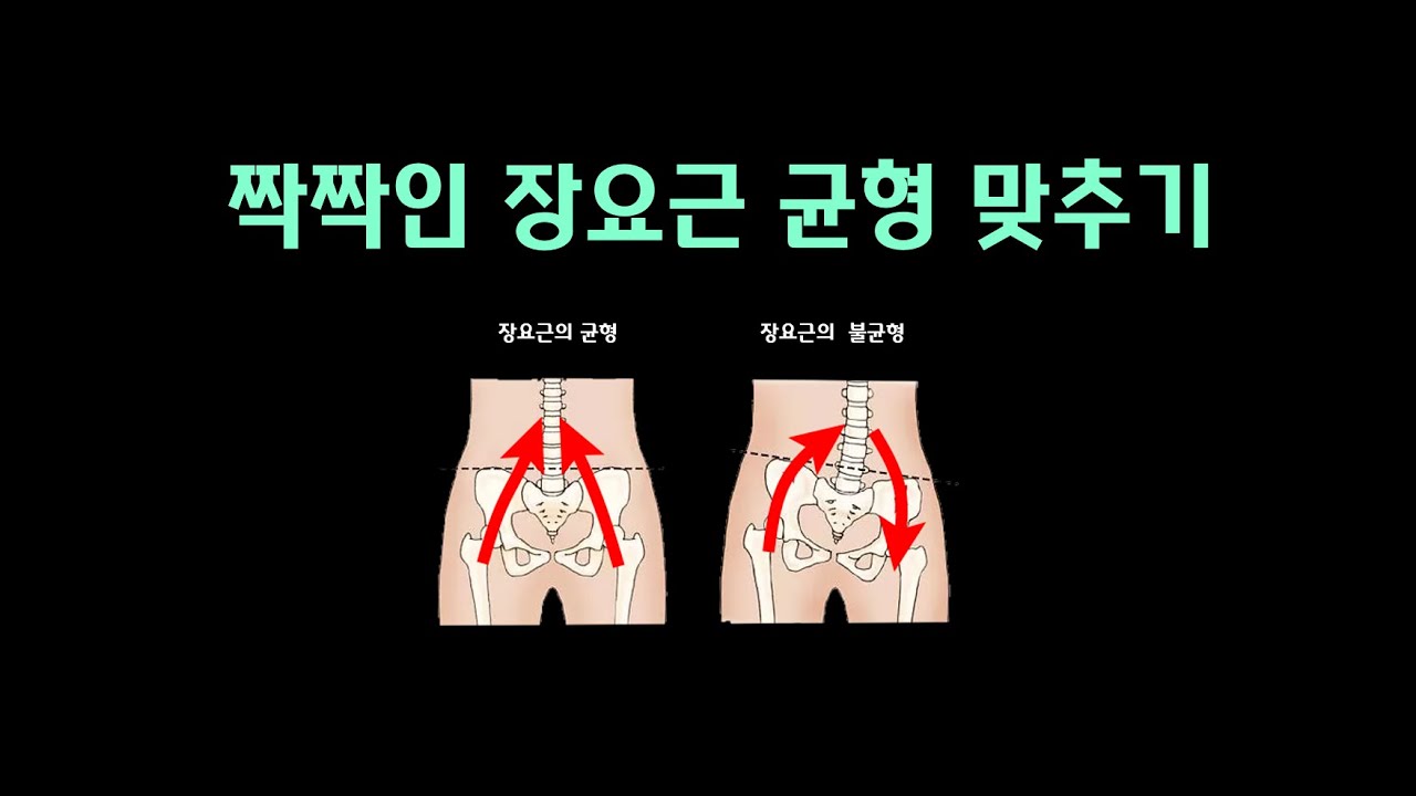 [ 마름모코어 시즌 3-66 ] (지면반발력 시리즈 8) 짝짝인 장요근 균형을 맞추려면 몸통과 골반 그리고 고관절의 연관성을 모두 고려해야 합니다.