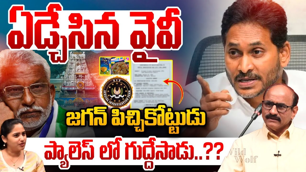 YS Jagan Attack On YV Subbareddy : ఏడ్చేసిన వైవీ..జగన్ పిచ్చికోట్టుడు | TTD Ghee CBI Report Issue