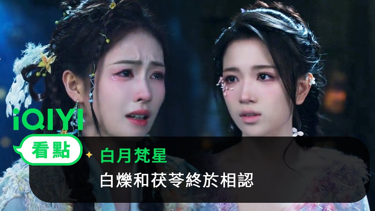 《白月梵星》EP32看點：白爍和茯苓終於相認 | 愛奇藝