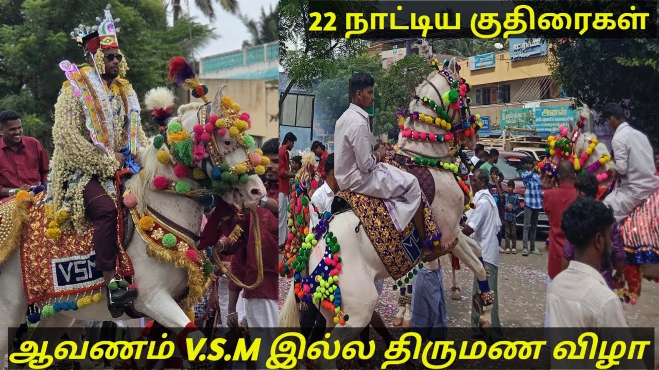 #ஆவணம் VSM இல்ல திருமண விழா,#dancinghorse #viral #trending #nikkah #muslim #biggestevents #horselove