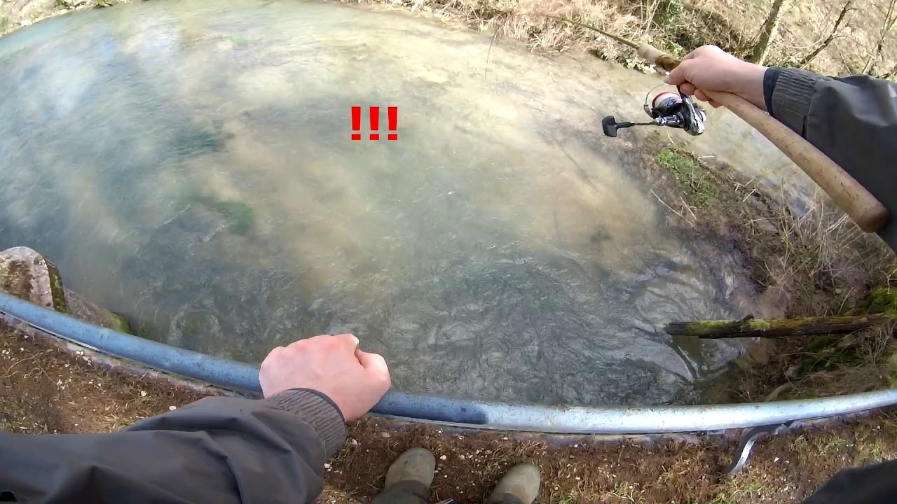 Grosse truite en ruisseau !! 50+ vairon manié !! Records perso !