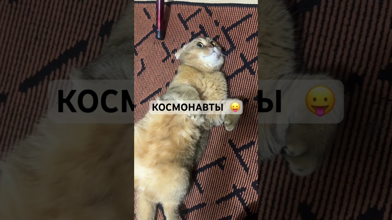 Космонавты🤣