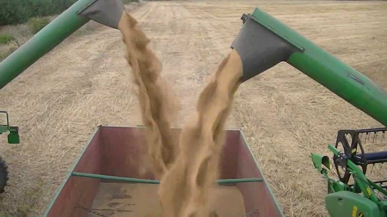 John Deere CWS Żniwa 2013 PROSO ( część 2 )