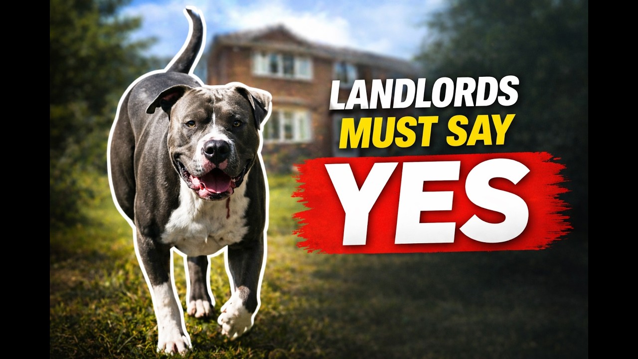 Renters Rights Act 2025: Your New Rights to Keep Pets as a UK Tenant