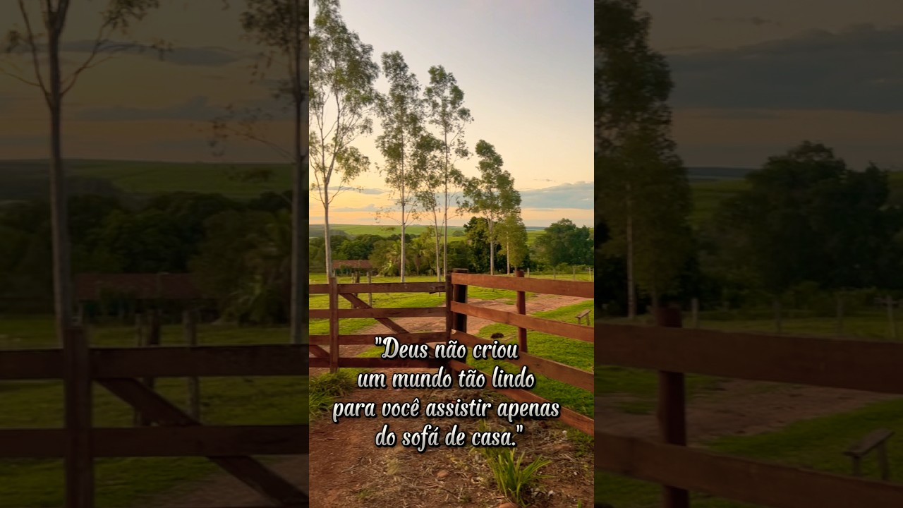 Aproveite a vida🌿 