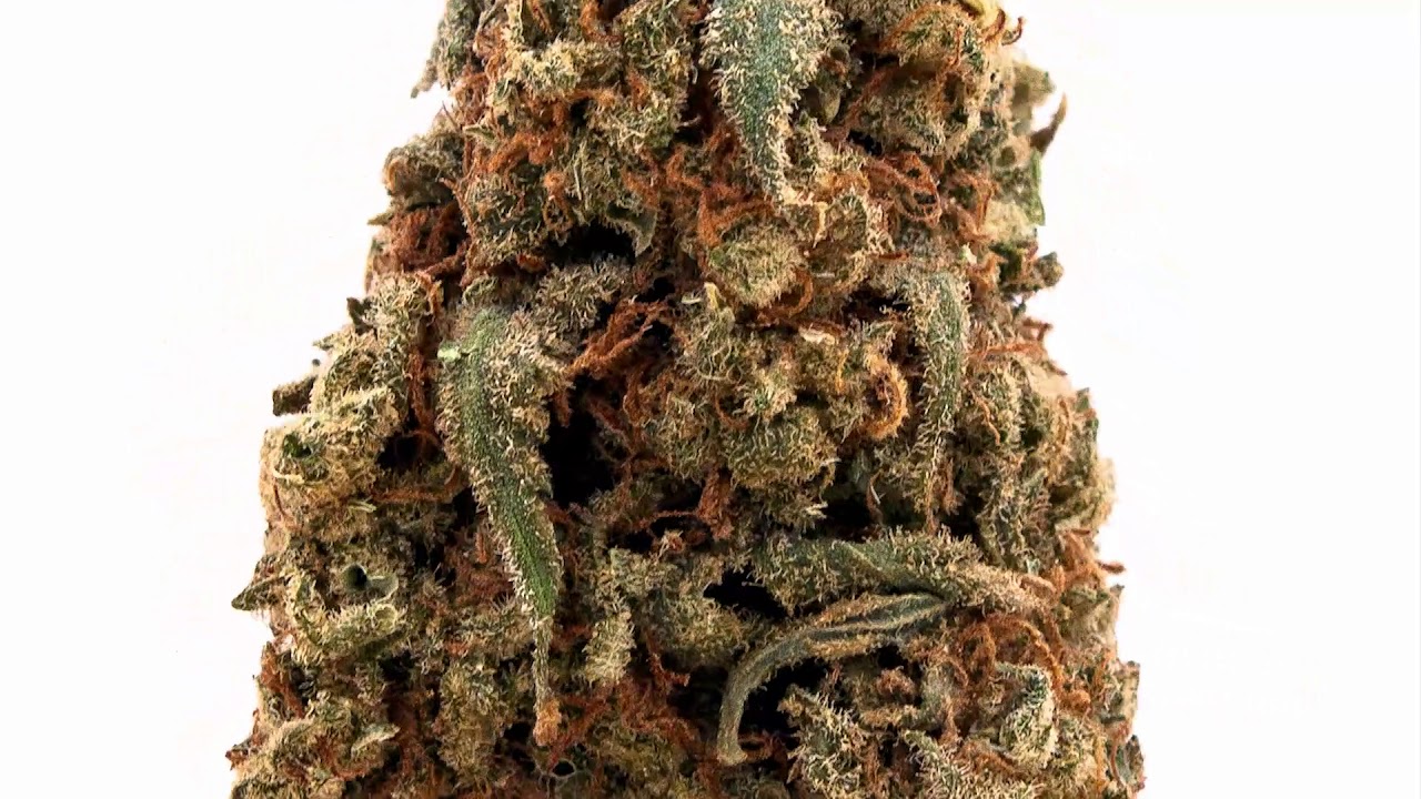 Mango Kush