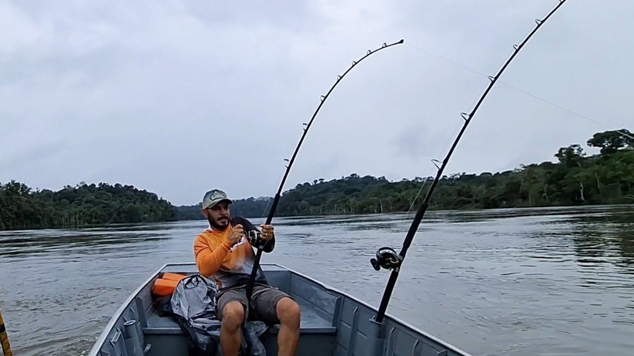 PESCARIA NA AMAZÔNIA !! PIRARARA E JAÚ./PESCARIA COM ISCA VIVA NO RIO TELES PIRES./POUSADA REMANSO.