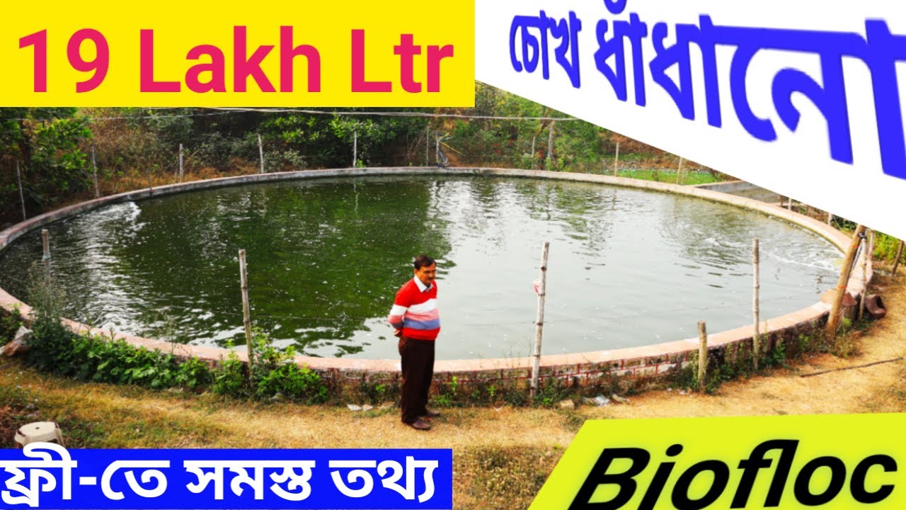 ভারতের বিশাল এক বায়োফ্লক ফিশফারমিং যেখানে বিনামূল্যে এডভাইস পেয়ে যাবেন // Biofloc Fish Farming