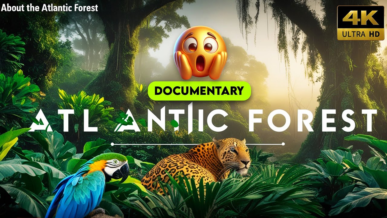 The Atlantic Forest: Brazil&rsquo;s Most Endangered Jungle| Wildlife Documentary