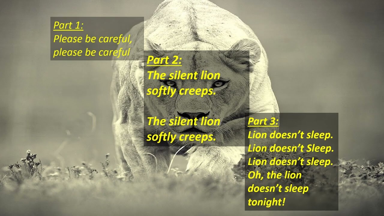 The Lion Doesn't Sleep Tonight