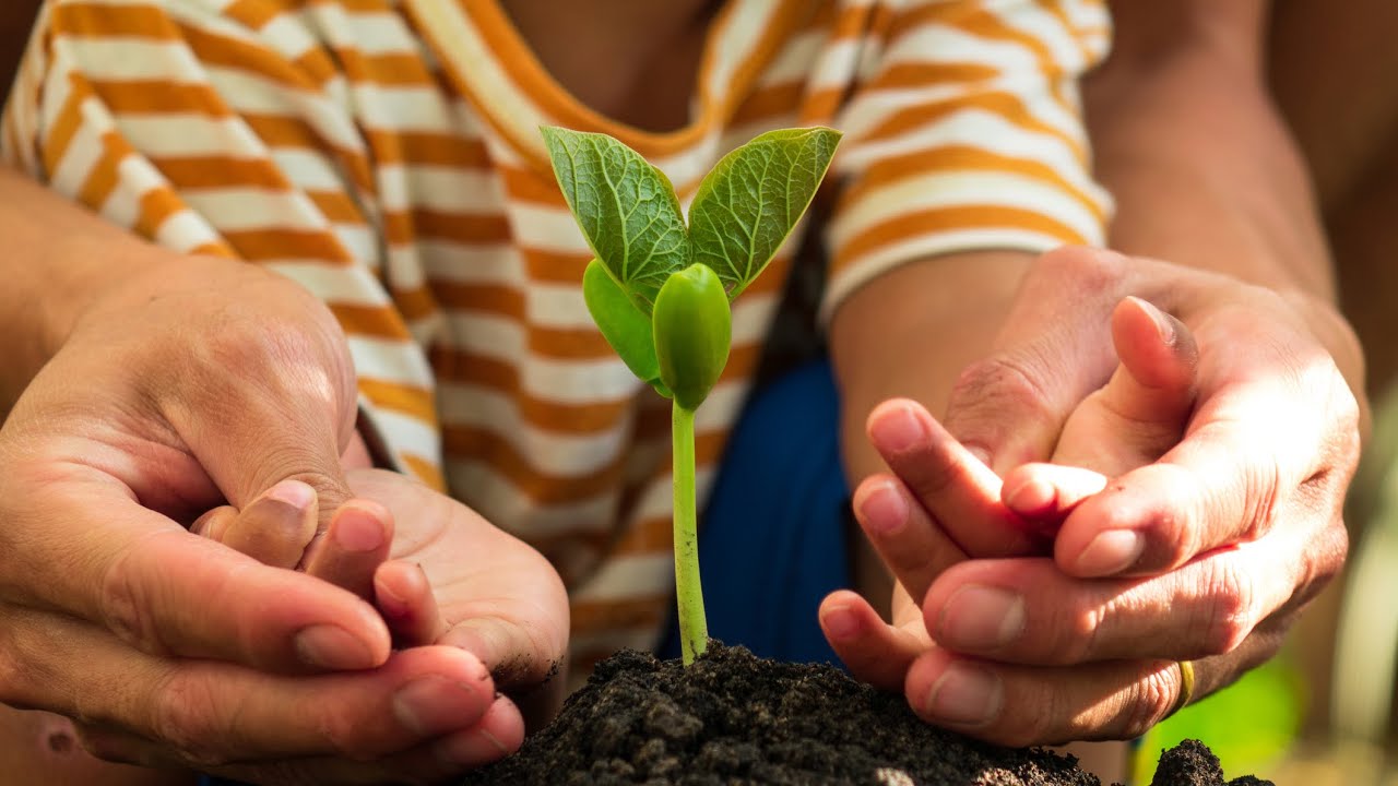 Homegrown | N.C. Agriculture: Feeding Families, Growing the Economy