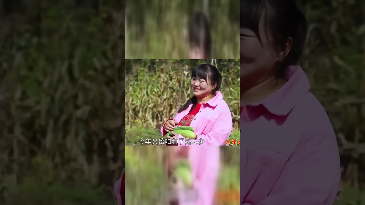 陕北霞姐的丝瓜肉丸汤，妹妹们都喝美了！