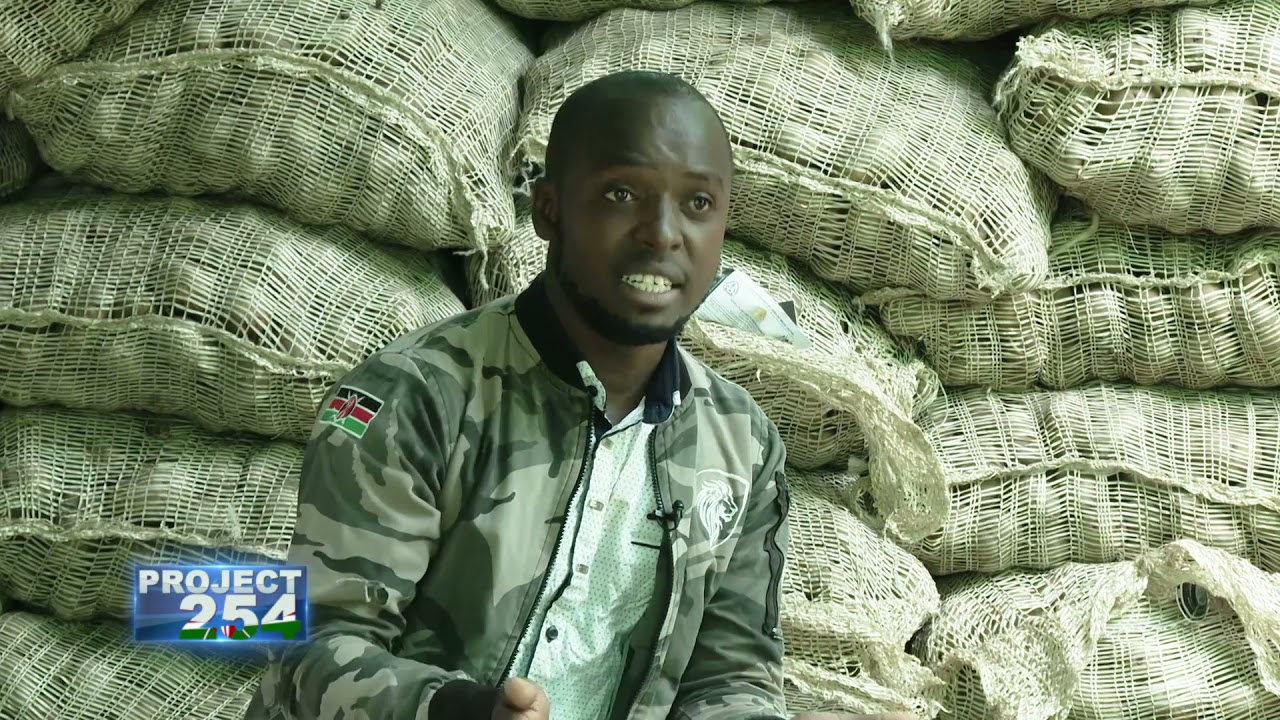 Project 254, Episode 77 - Production of Certified Potato Seeds