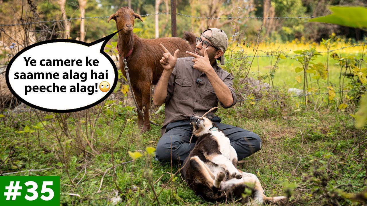 Peepal Farm Update #35