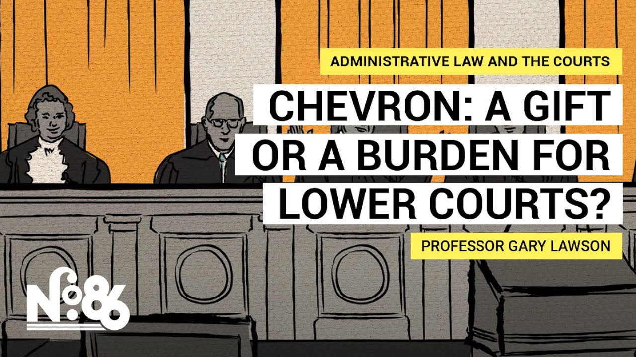 Chevron: A Gift or A Burden for Lower Courts? [No. 86]