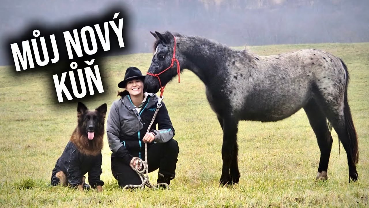 Nejkrásnější 🎁 k Vánocům 🐎🐎