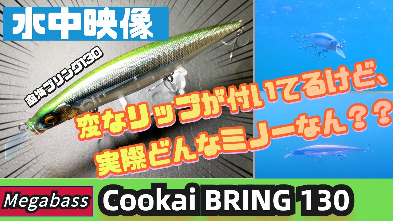 【水中映像】空海ブリング130！デッドスローの揺らぎが落ち鮎にばっちり！ジャーキングも凄い！【シーバス】【メガバス】