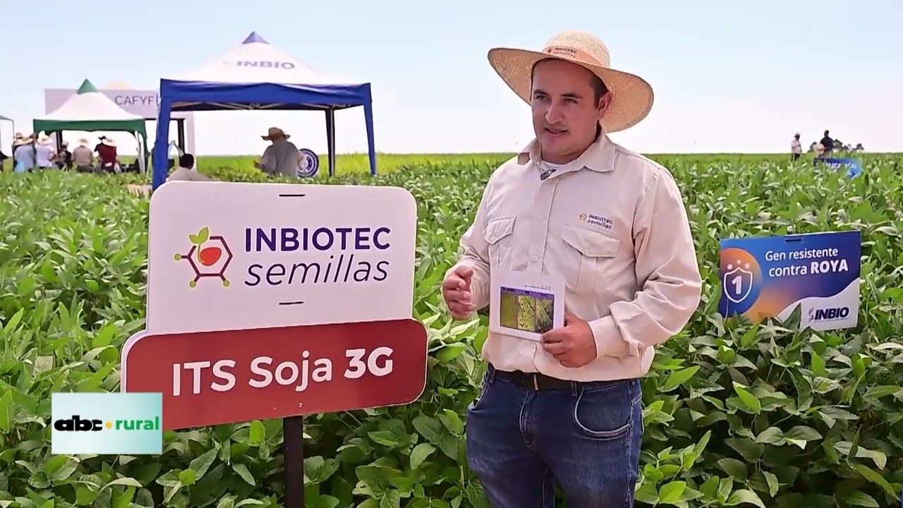 Trabajan en crear variedad de soja con 3 genes tolerantes a roya