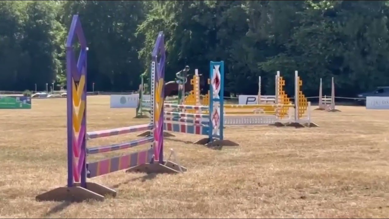 EYE CATCHING YOUNG HORSE